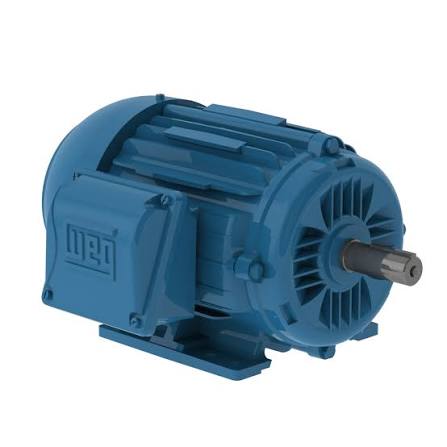 Motor WEG